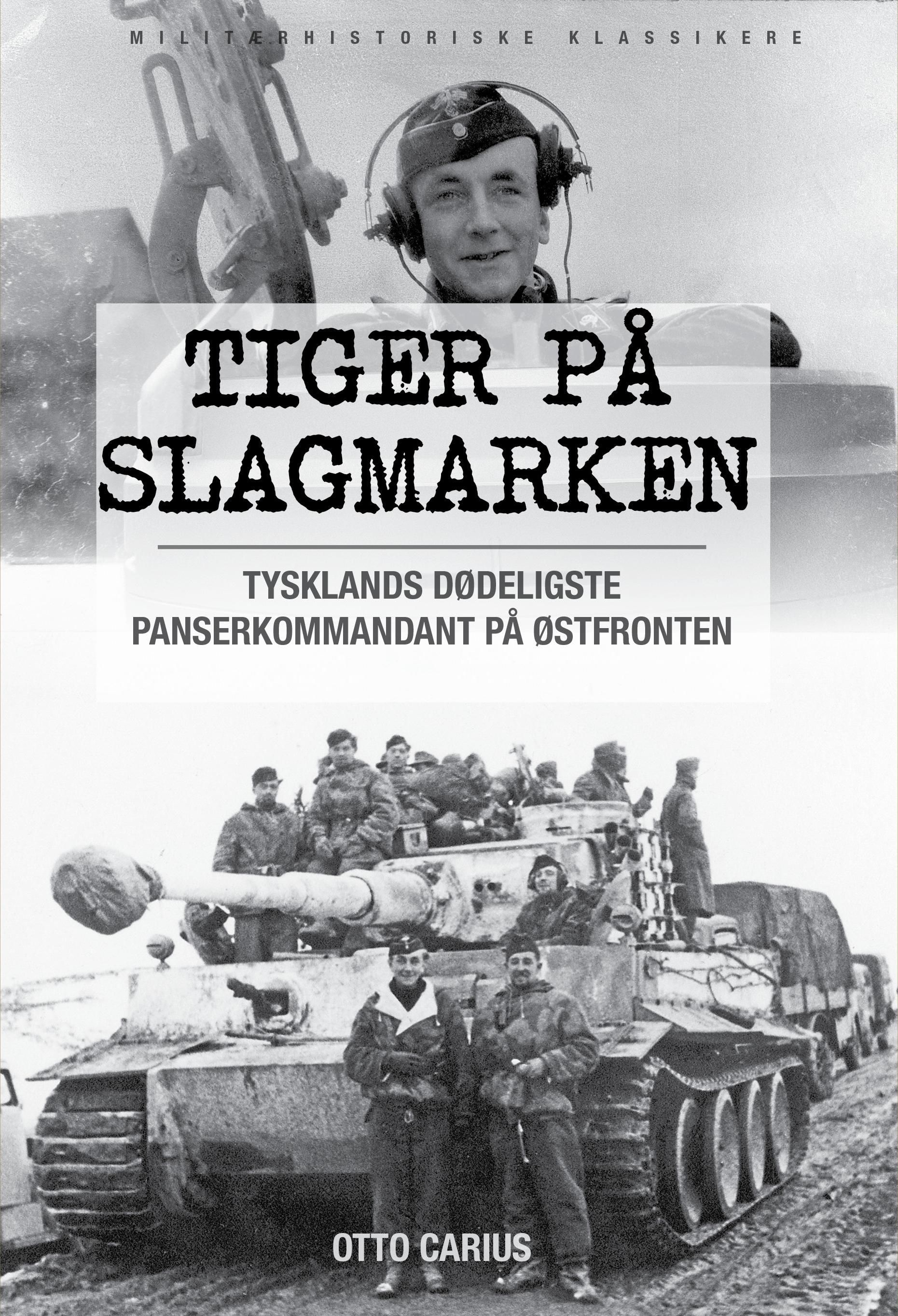 Tiger im Schlamm