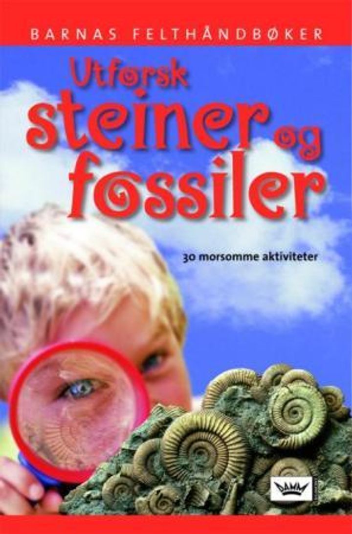 Rock & fossil hunter