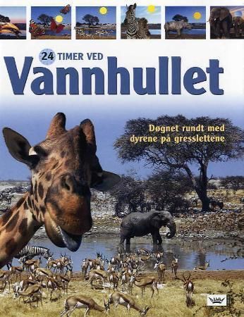24 hours at the waterhole